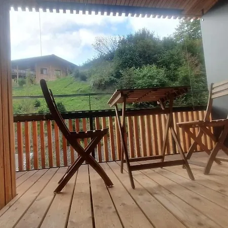 2.5 In Center Of Flims. In/out Apartment Flims