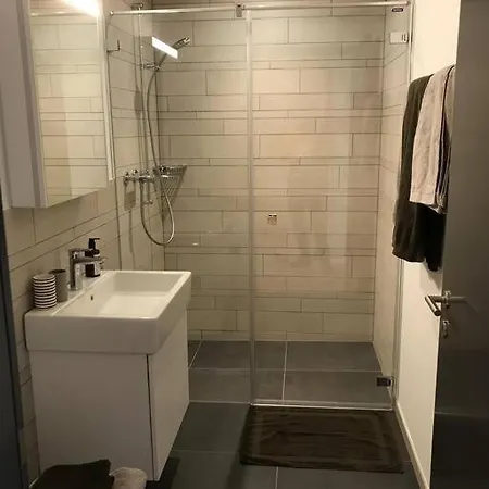 Apartment 2.5 In Center Of Flims. In/out *